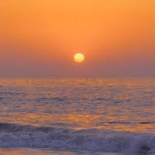 Shah Hussain avatar